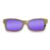 Fox Style Recycled Wooden Skateboard Glasses (Large)
