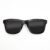 Wayfarer Style Recycled Wooden Skateboard Glasses