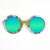 Iris Style Recycled Wooden Skateboard Glasses