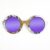 Iris Style Recycled Wooden Skateboard Glasses