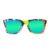 Wayfarer Style Recycled Wooden Snowboard Glasses (Large)