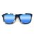 Wayfarer Style Recycled Wooden Snowboard Glasses (Large)