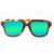 Aviator Style Recycled Wooden Snowboard Glasses