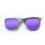 Wayfarer Style Recycled Wooden Skateboard Glasses (Large)