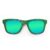 Wayfarer Style Recycled Wooden Skateboard Glasses (Large)