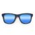 Wayfarer Style Recycled Wooden Skateboard Glasses (Large)