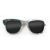 Wayfarer Style Recycled Wooden Skateboard Glasses (Large)