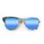Wayfarer Style Recycled Wooden Skateboard Glasses (Large)