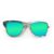 Wayfarer Style Recycled Wooden Skateboard Glasses (Large)
