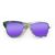 Wayfarer Style Recycled Wooden Skateboard Glasses (Large)