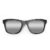 Wayfarer Style Recycled Wooden Skateboard Glasses (Large)