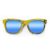 Wayfarer Style Recycled Wooden Skateboard Glasses (Large)