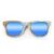 Wayfarer Style Recycled Wooden Skateboard Glasses (Large)