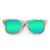 Wayfarer Style Recycled Wooden Skateboard Glasses (Large)