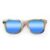 Wayfarer Style Recycled Wooden Skateboard Glasses (Large)