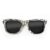Wayfarer Style Recycled Wooden Skateboard Glasses (Large)