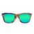 Wayfarer Style Recycled Wooden Skateboard Glasses (Large)