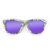 Wayfarer Style Recycled Wooden Skateboard Glasses