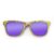 Wayfarer Style Recycled Wooden Skateboard Glasses