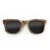 Wayfarer Style Recycled Wooden Skateboard Glasses