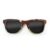 Wayfarer Style Recycled Wooden Skateboard Glasses
