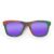 Wayfarer Style Recycled Wooden Skateboard Glasses