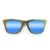 Wayfarer Style Recycled Wooden Skateboard Glasses
