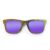 Wayfarer Style Recycled Wooden Skateboard Glasses
