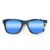 Wayfarer Style Recycled Wooden Skateboard Glasses