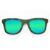 Wayfarer Style Recycled Wooden Skateboard Glasses (Large)