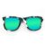 Wayfarer Style Recycled Wooden Skateboard Glasses (Large)