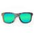Wayfarer Style Recycled Wooden Skateboard Glasses (Large)