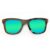 Wayfarer Style Recycled Wooden Skateboard Glasses (Large)