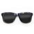 Wayfarer Style Recycled Wooden Skateboard Glasses (Large)