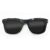 Wayfarer Style Recycled Wooden Skateboard Glasses (Large)