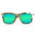 Wayfarer Style Recycled Wooden Skateboard Glasses (Large)