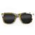 Wayfarer Style Recycled Wooden Skateboard Glasses (Large)
