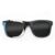 Wayfarer Style Recycled Wooden Skateboard Glasses (Large)